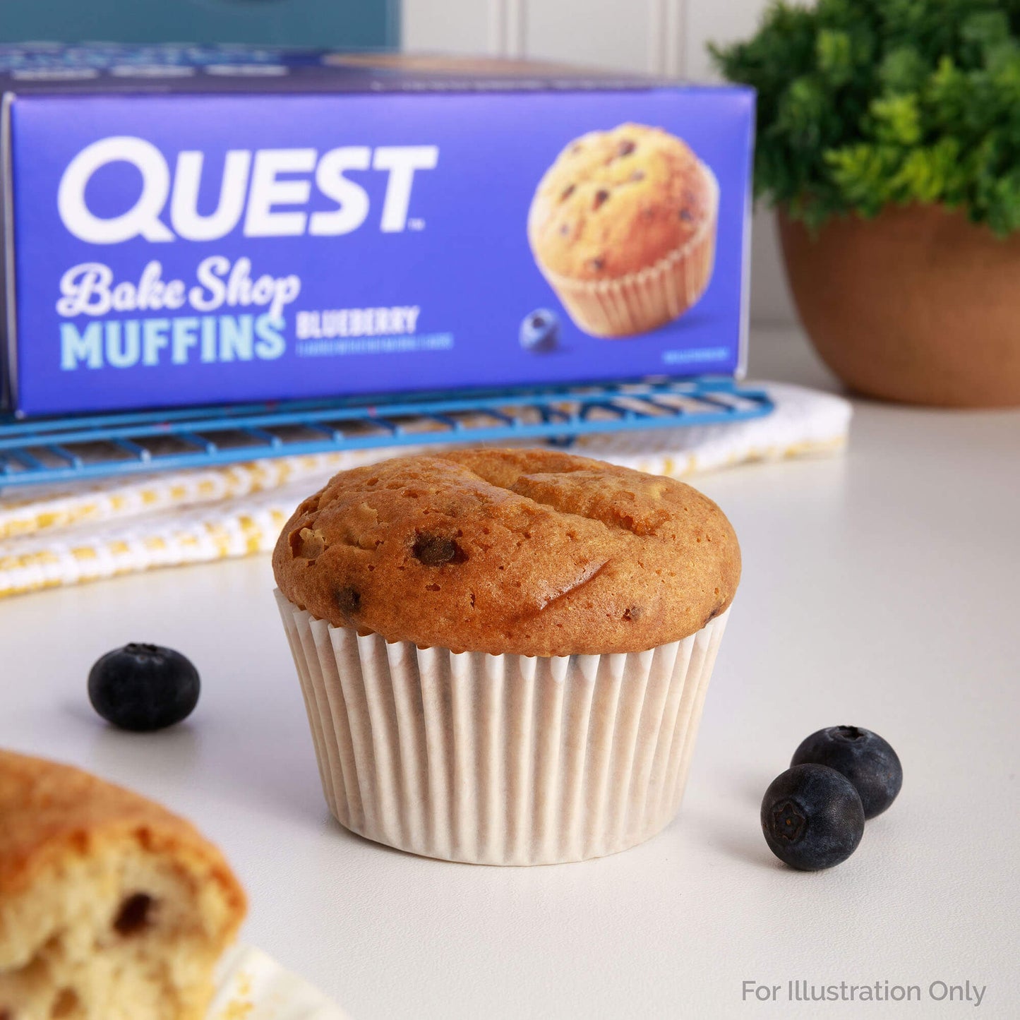 bake-shop-blueberry-muffins-d6 qst-013395-bake-shop-blueberry-muffins_7.jpg